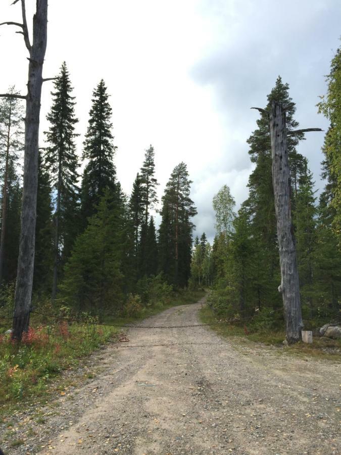 Hiiden Kaemppaekartano Iso Vuokramoekki Laehellae Tiilikan Kansallispuistoa Villa Sotkamo Exterior photo